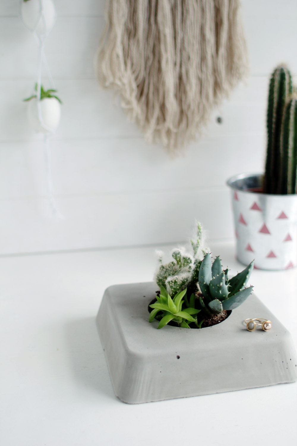 DIY Concrete Succulent Planter Minimalist