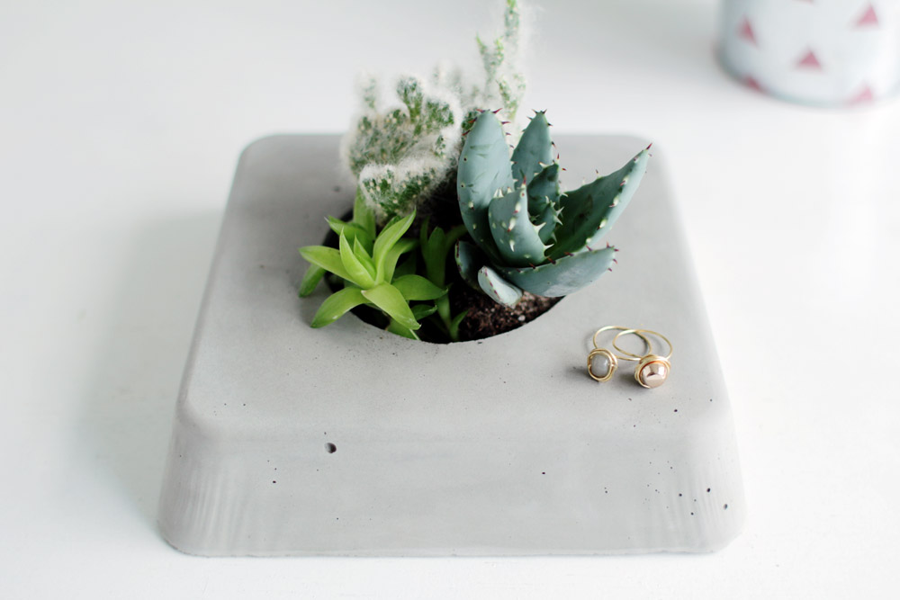 DIY Concrete Succulent Planter closer