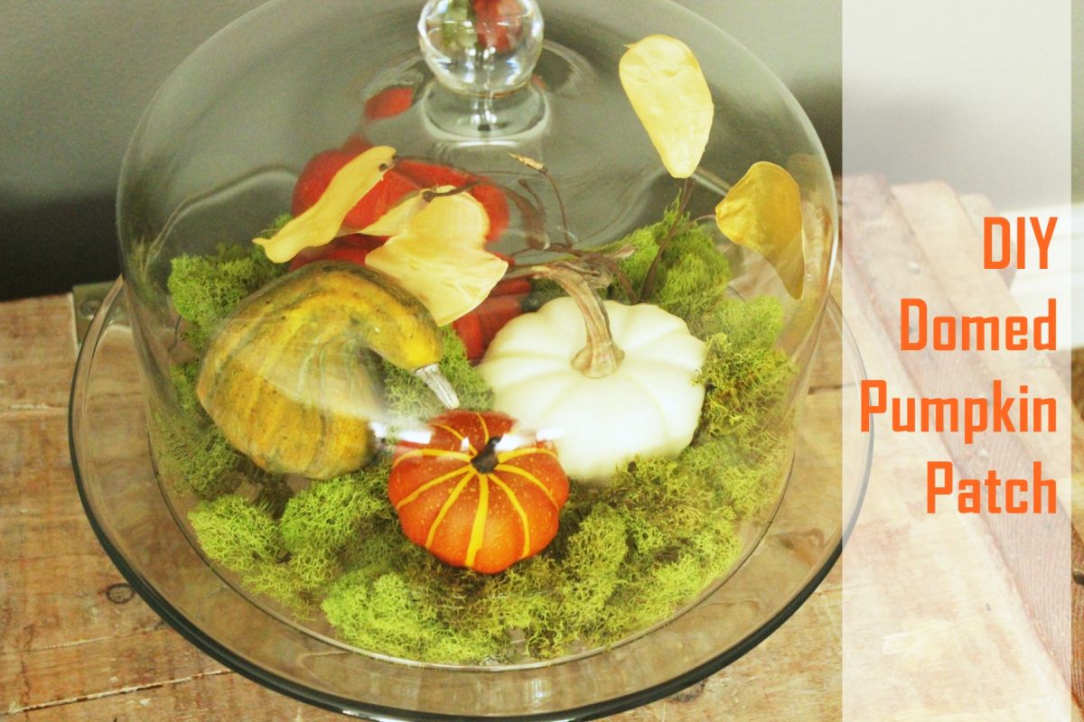 Funky DIY Pumpkin Terrarium Fall Craft