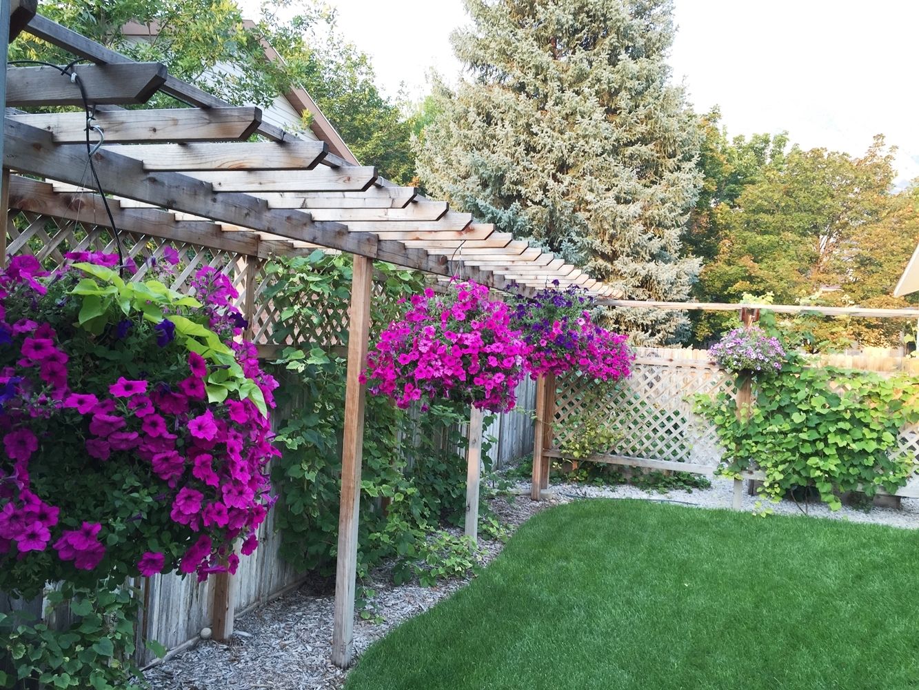 DIY Flower Bed Starts backyard full of hanging flowers