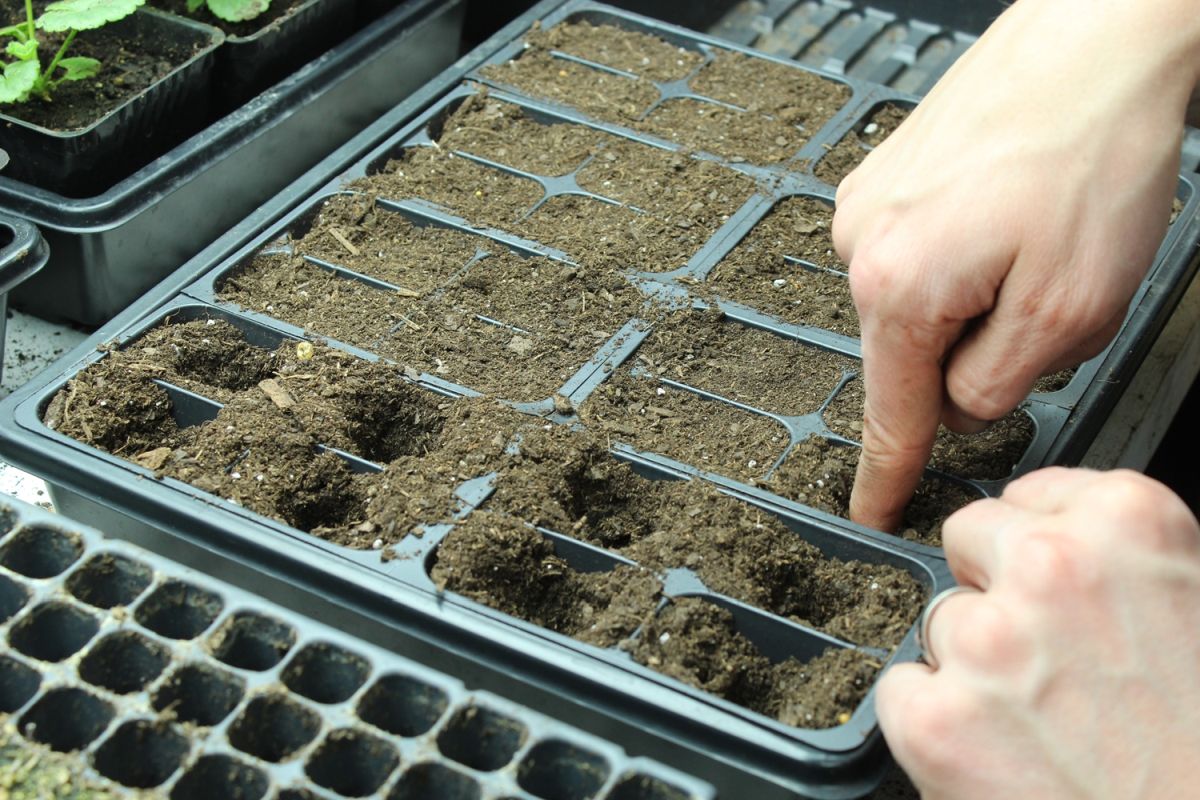 DIY Flower Bed Starts-create holes in the center