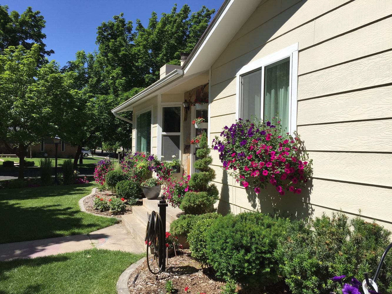 DIY Flower Bed Starts - more window flowers