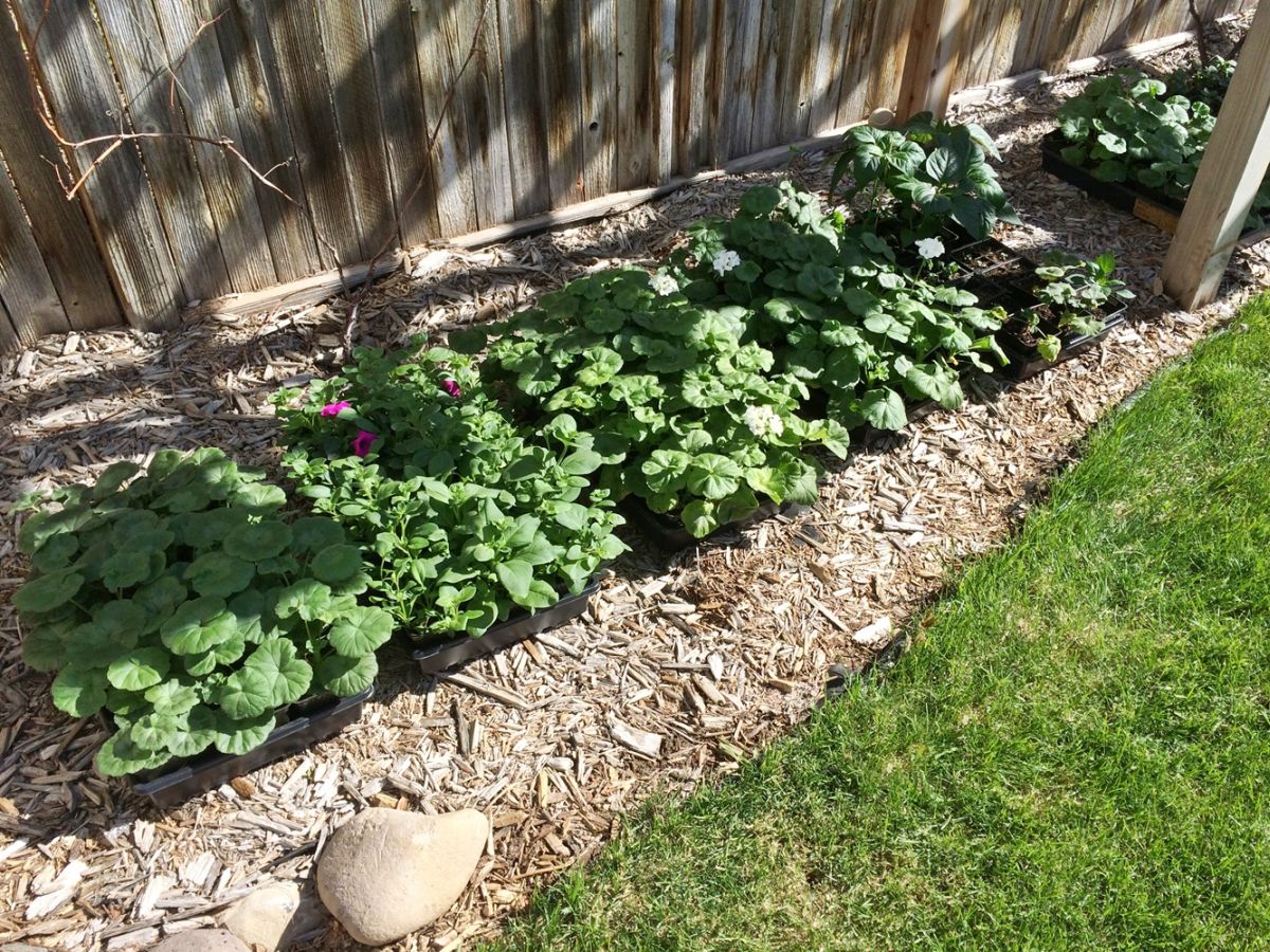 DIY Flower Bed Starts-warm spring days