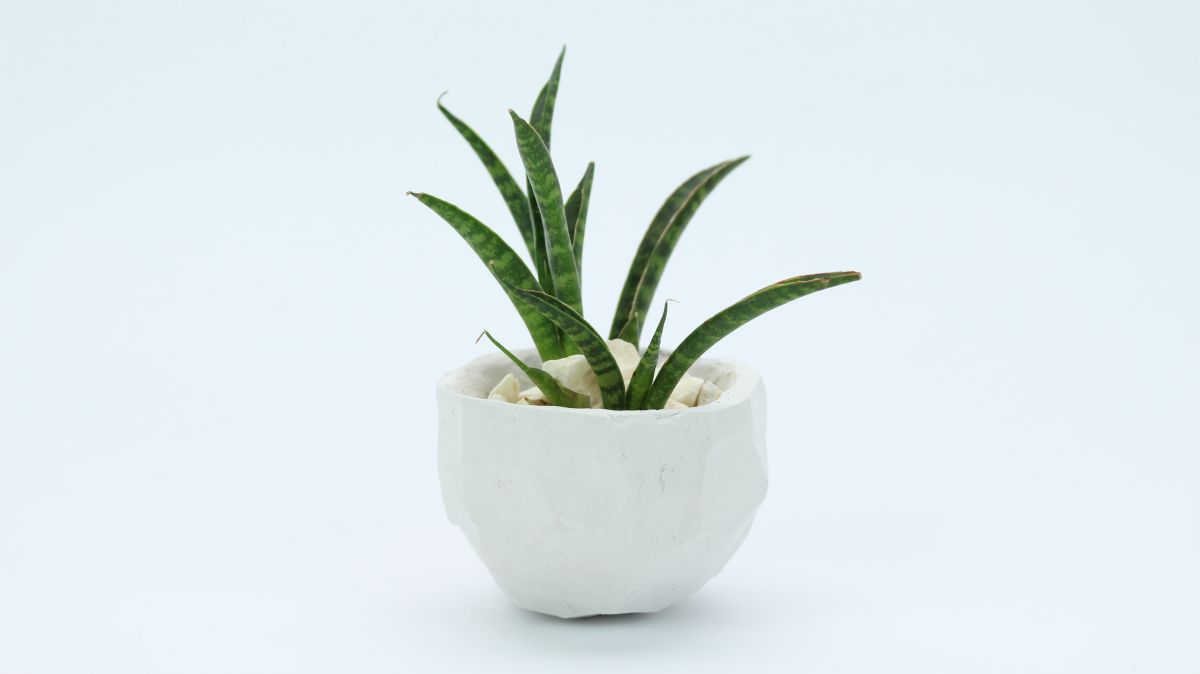 DIY Geometric Faceted Planter from Clay