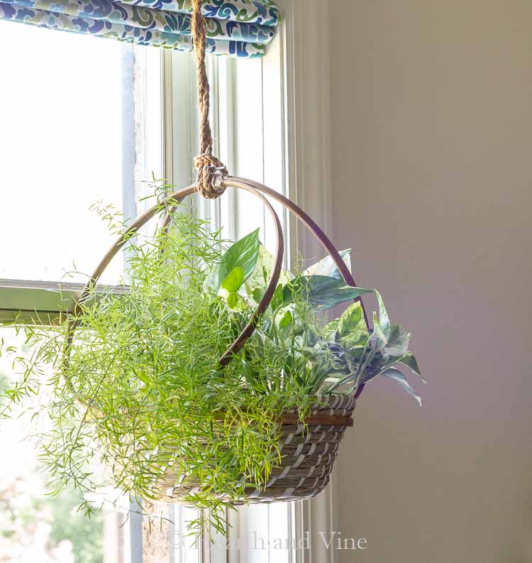 DIY Hanging Basket Planter