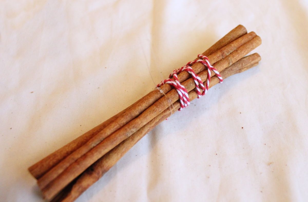 DIY Natural Christmas Tree Ornaments-DIY Natural Christmas Tree Ornaments36