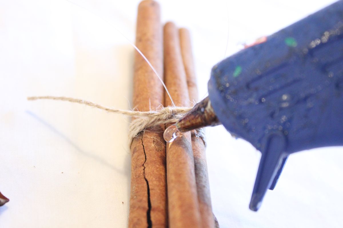 DIY Natural Christmas Tree Ornaments-Decide where you want the anise star