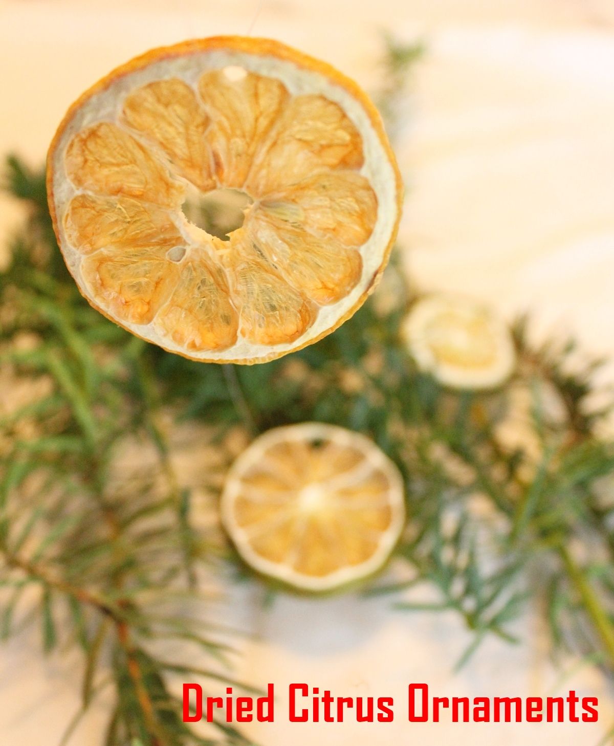 DIY Natural Christmas Tree Ornaments-Dried Citrus Ornaments