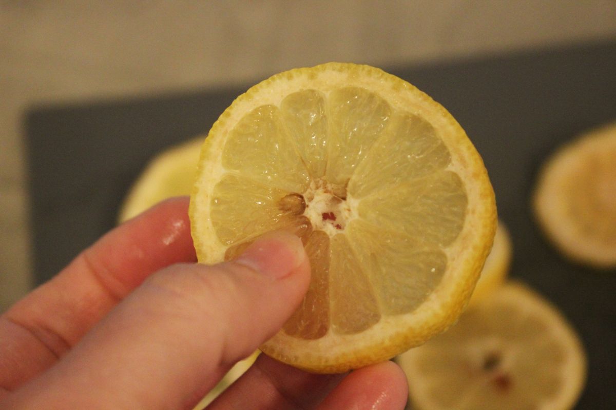 DIY Natural Christmas Tree Ornaments Dried