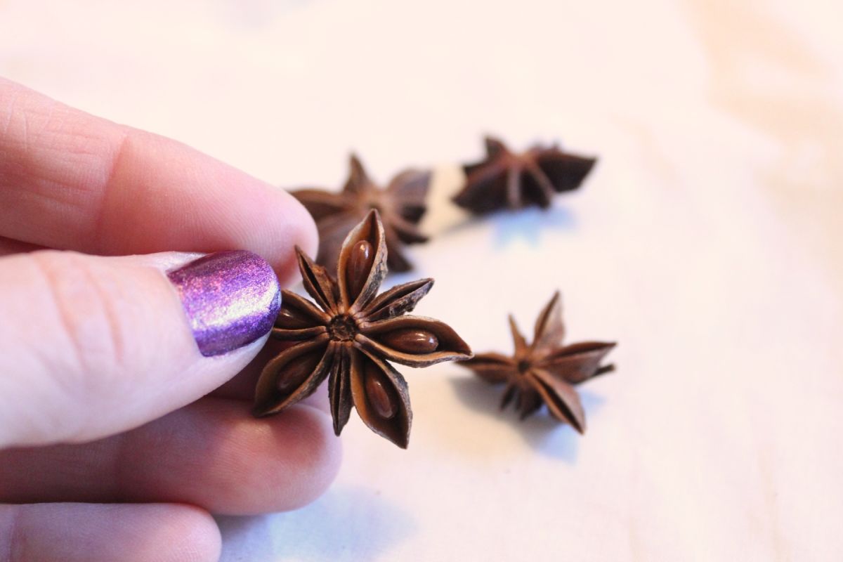 DIY Natural Christmas Tree Ornaments-Grab some anise seeds