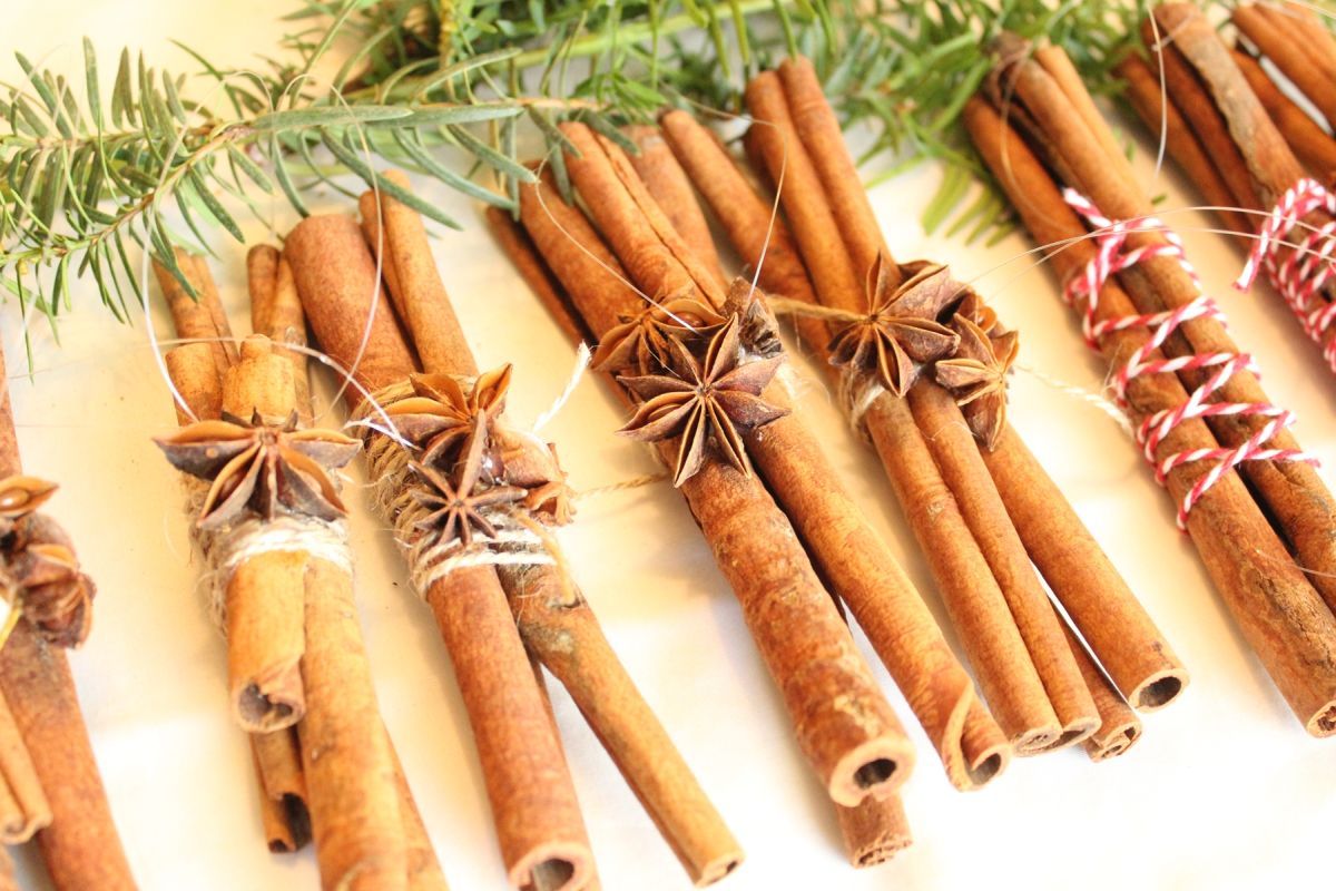 DIY Natural Christmas Tree Ornaments Project