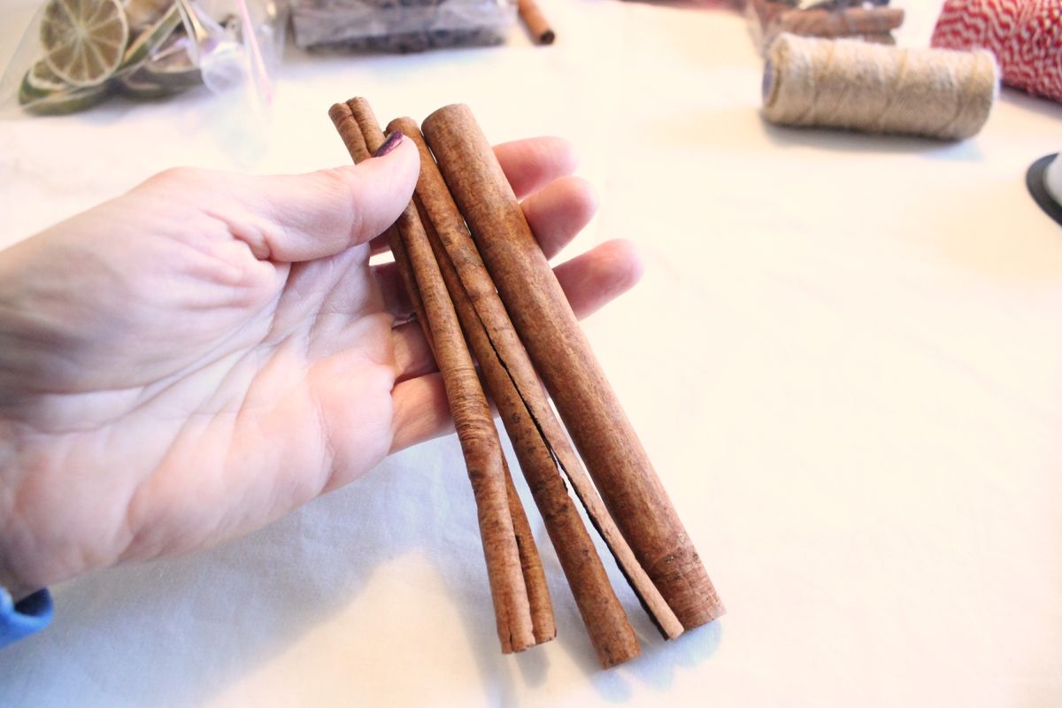 DIY Natural Christmas Tree Ornaments cinnamon sticks for this natural ornament