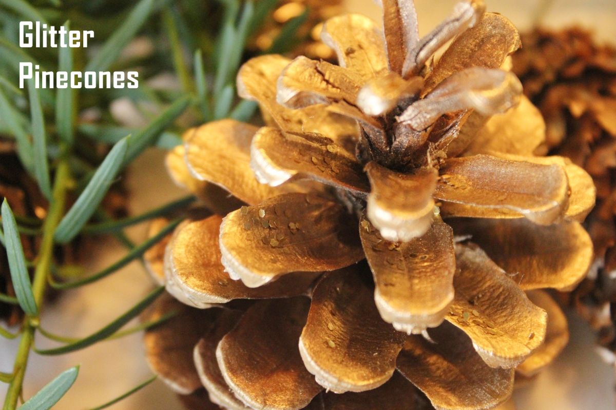 DIY Natural Christmas Tree Ornaments - pinecones glitter