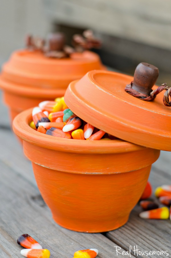 DIY Pumpkin Terracotta Pots