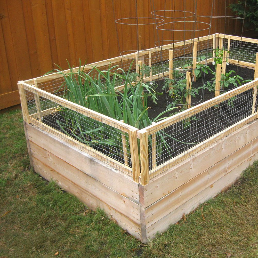 DIY Raised Bed featuring Pest Gate