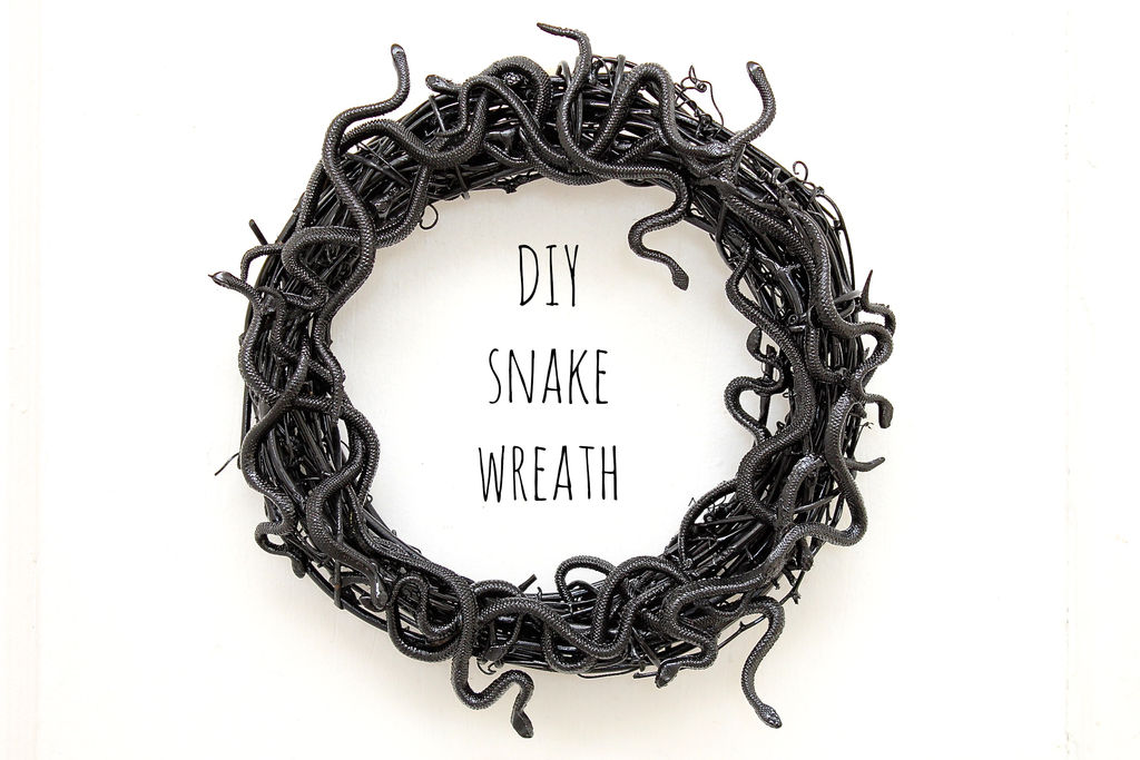 DIY Sanke Wreath
