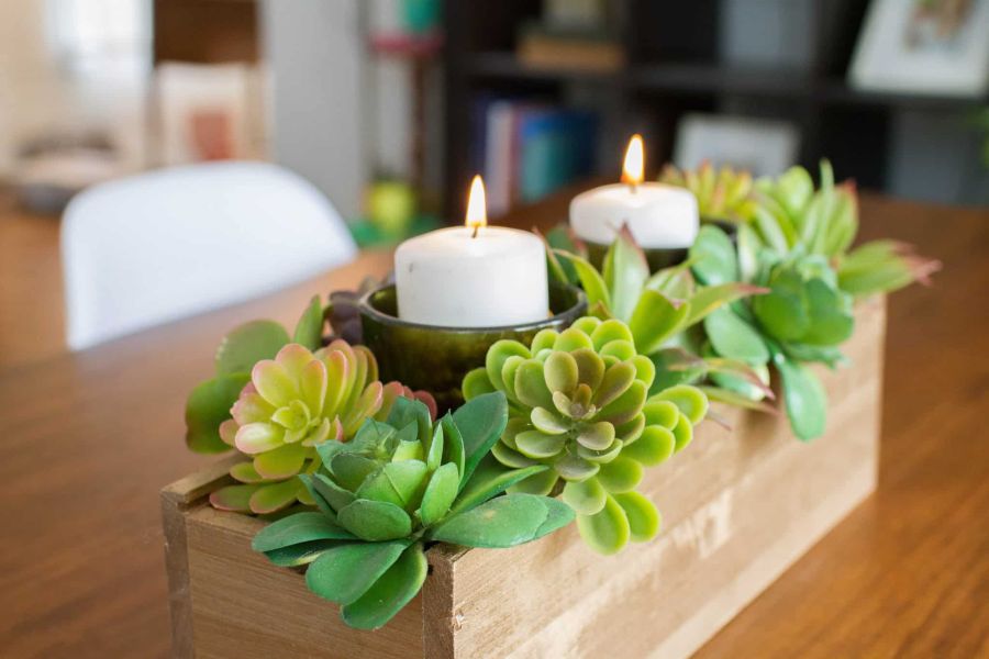 DIY Succulent Centerpiece