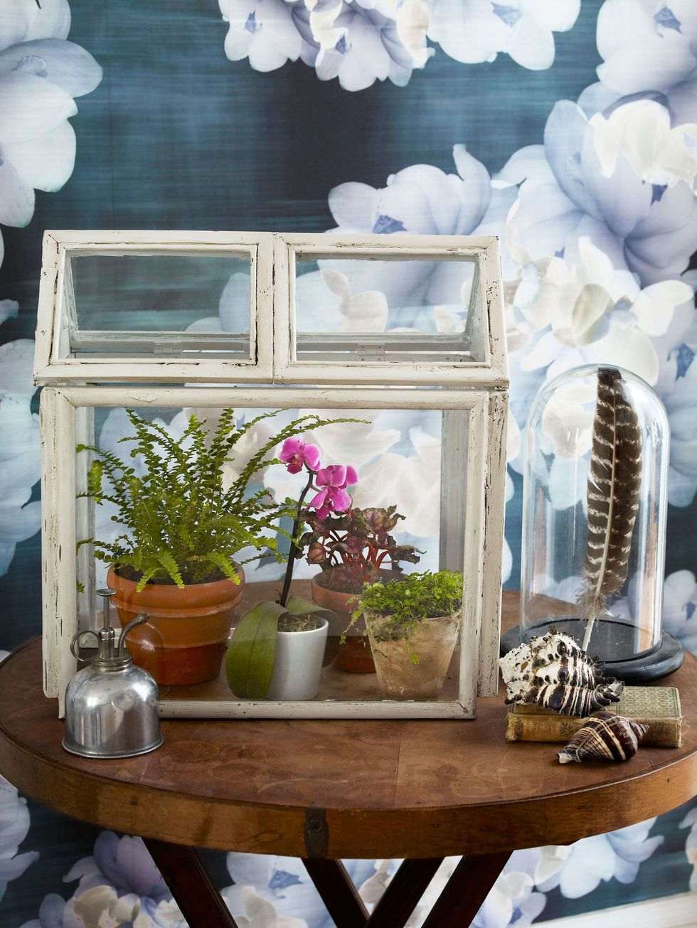 DIY Terrarium Using Old Picture Frames