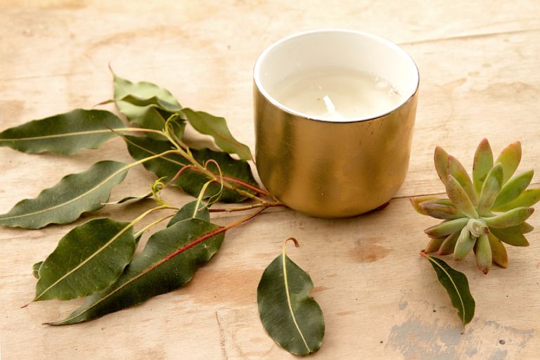DIY These Cute Citronella Candles