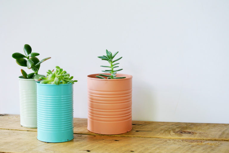 DIY Tin Can Planters