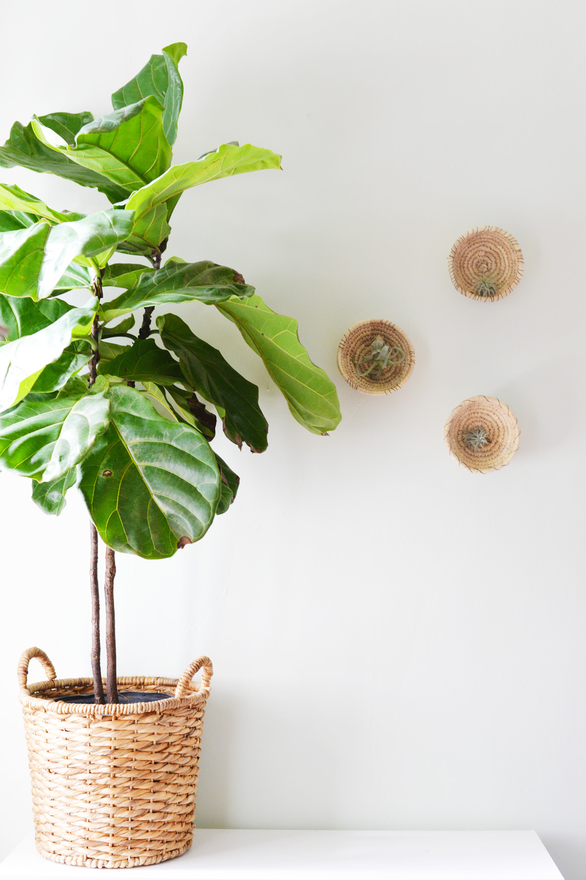 DIY Wall Basket Planters