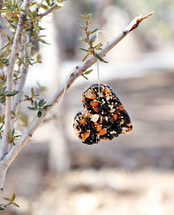 DIY birdseed heart