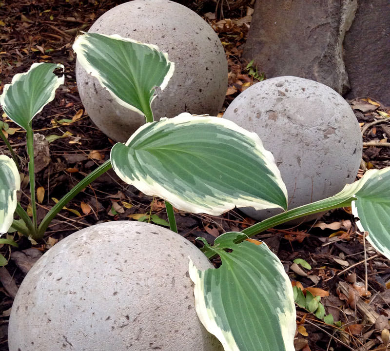 DIY concrete garden globes