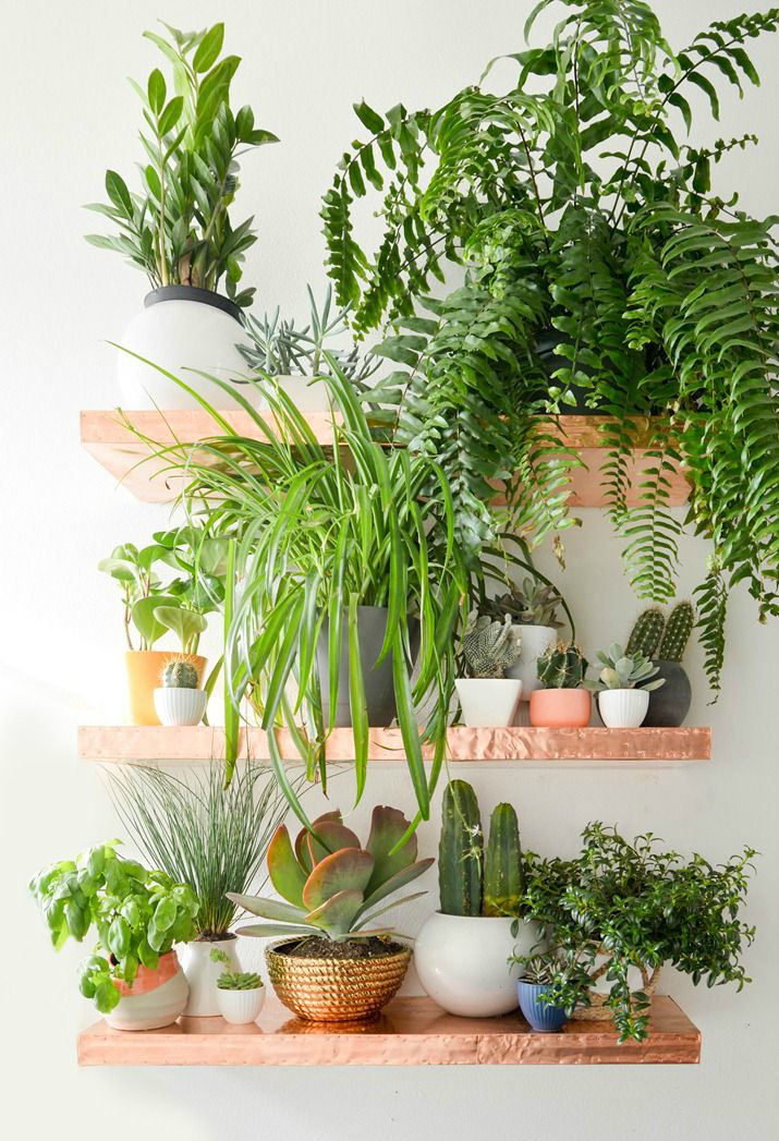 DIY copper shelves