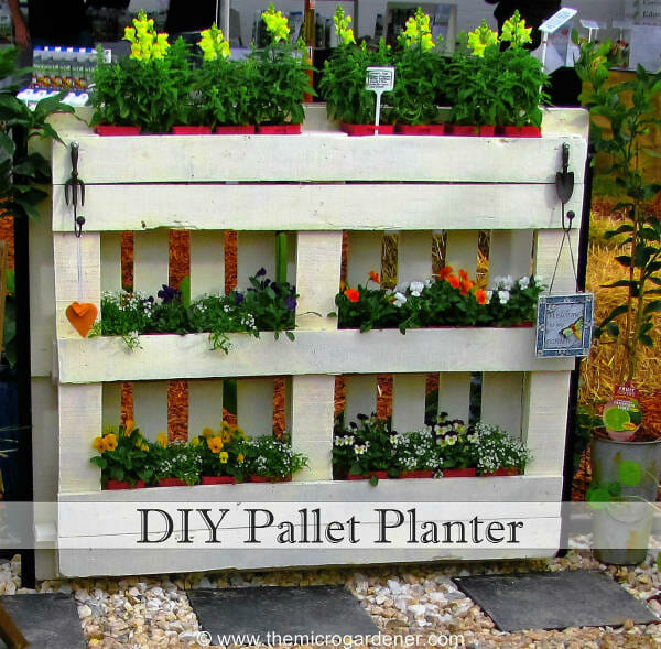 A Single Pallet Vertical Planter