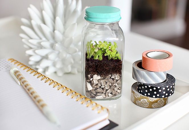 DIY mini terrarium