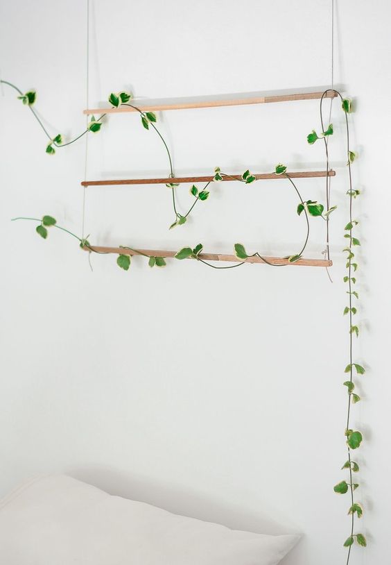 DIY nature hanging