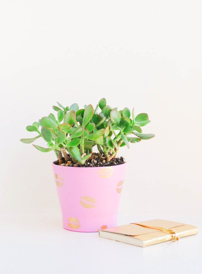 DIY pucker planters