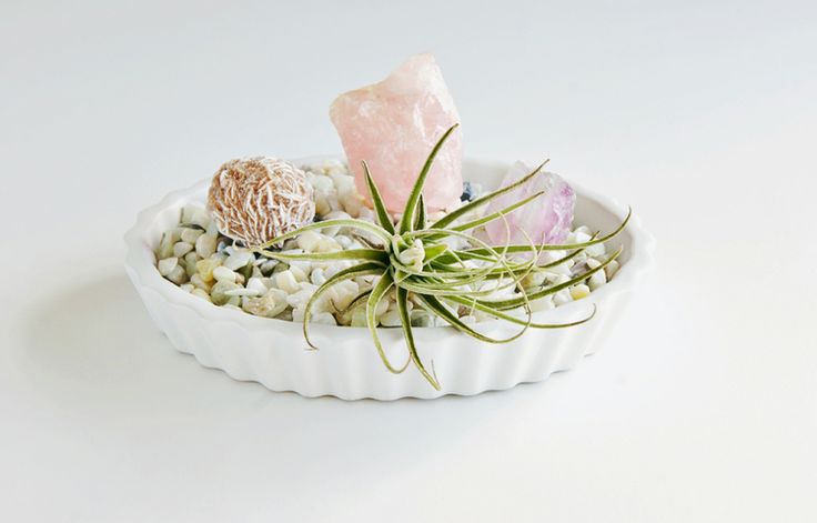 DIY rock garden