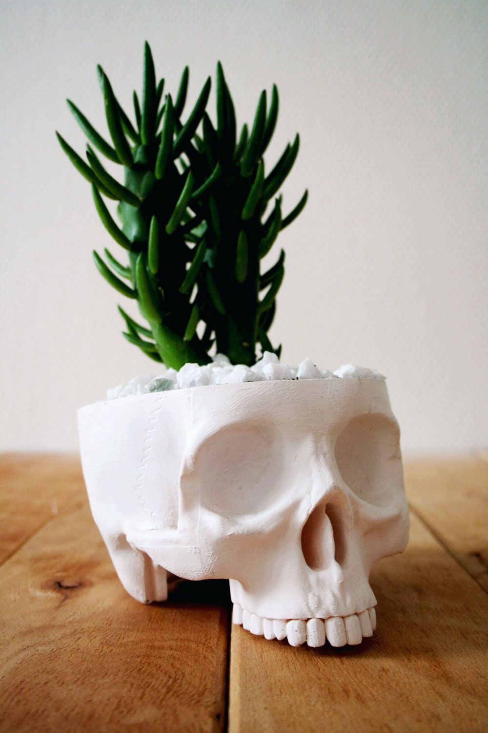 Explore Your Dark Side – How To Decorate With Skulls