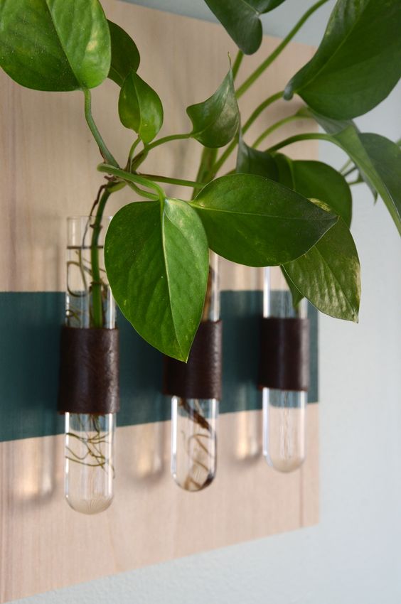 DIY tube vase hanging