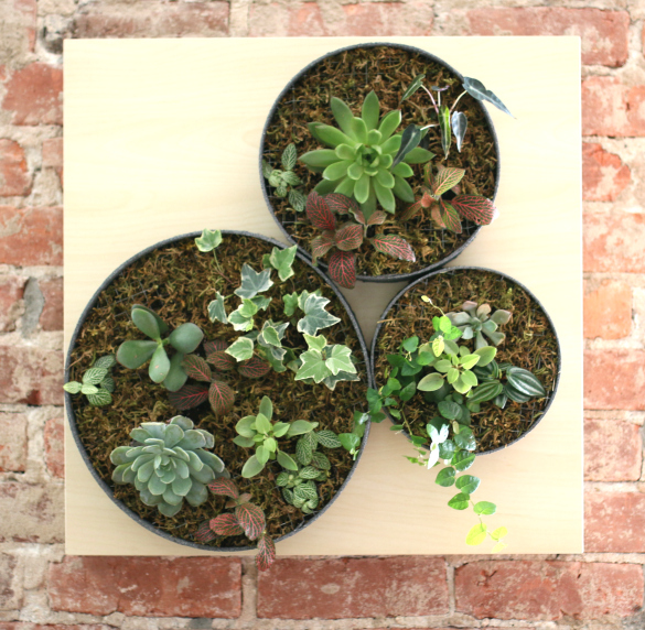 DIY vertical garden hanging