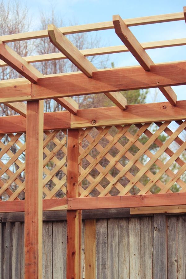 How To Build A Grape Arbor Step by Step