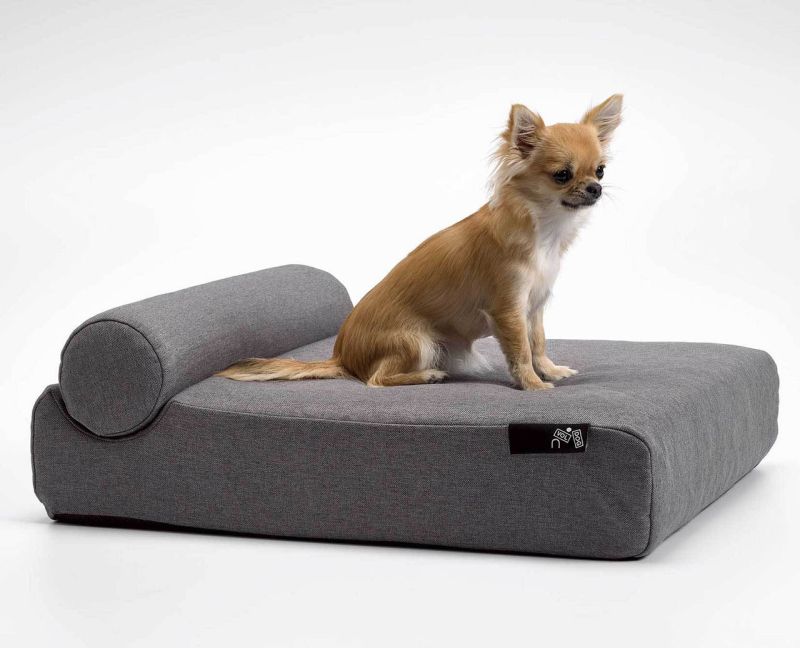 Modern Pet Furniture For Discerning Dogs, Cats And Their Owners