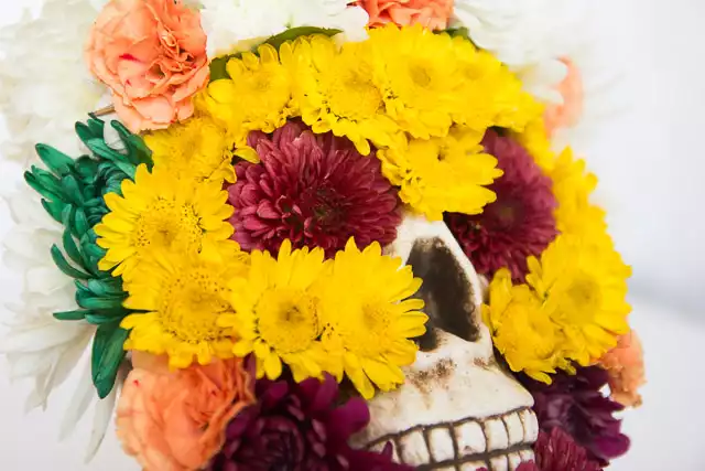 Dead flowers on skeleton skull