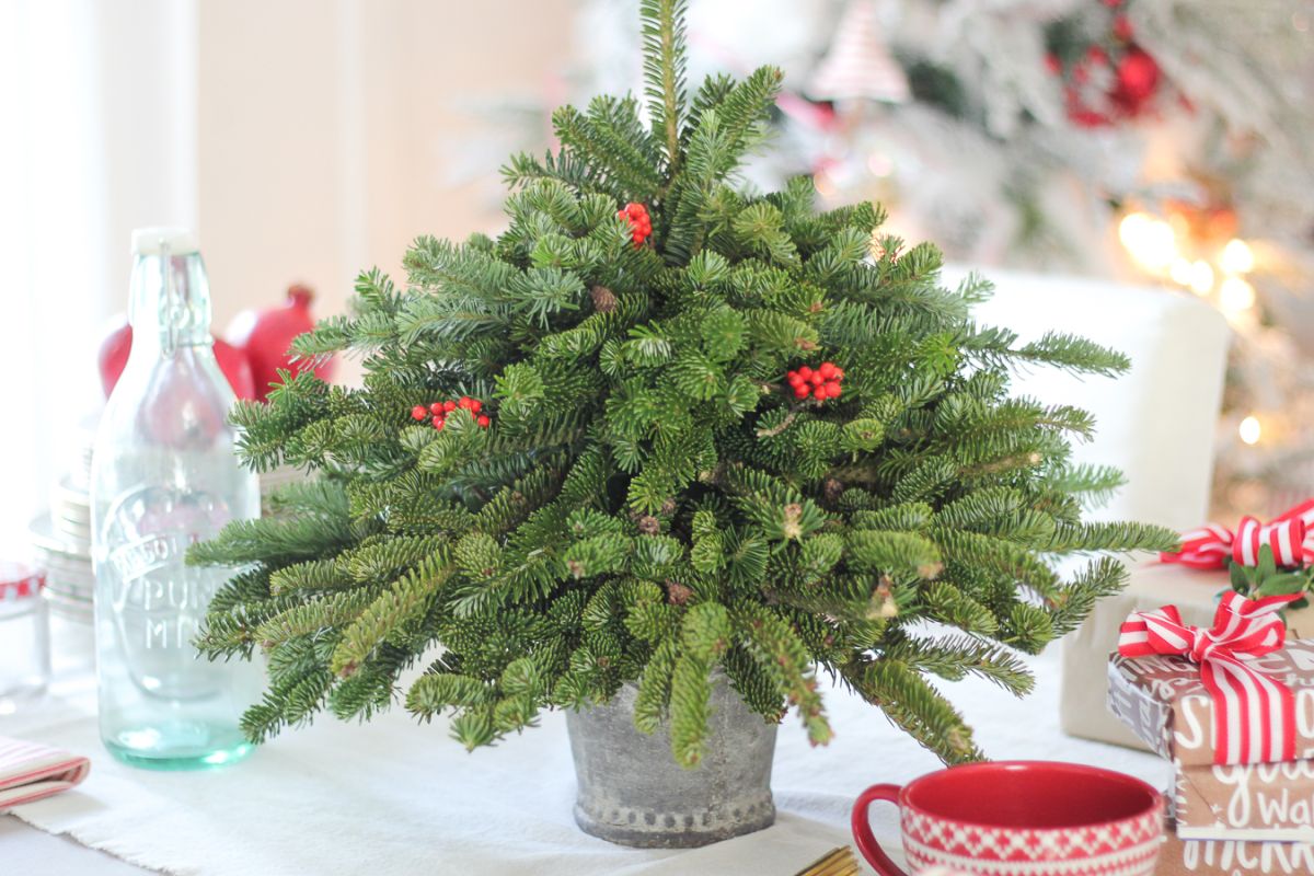 Decorate the Christmas Table with a small Tree