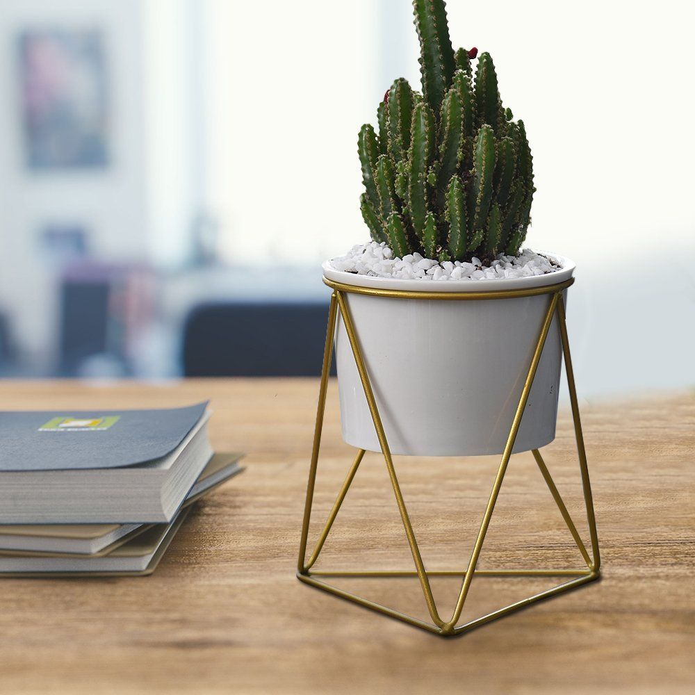 Desk plant stand from wire