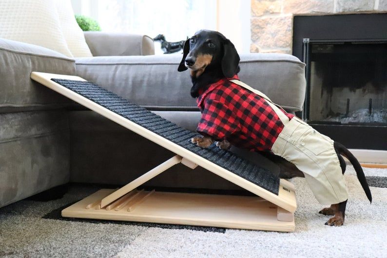 Dog Ramp THE Ramp for YOUR Pet