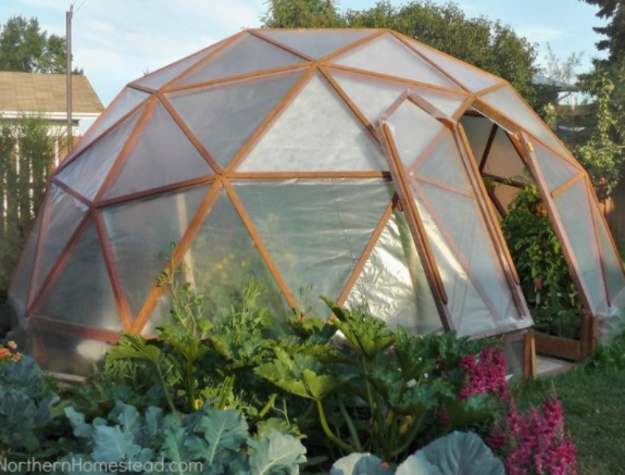 Dome like green house