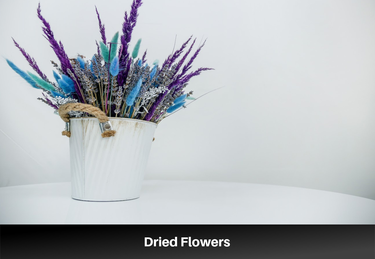 Dried Flowers