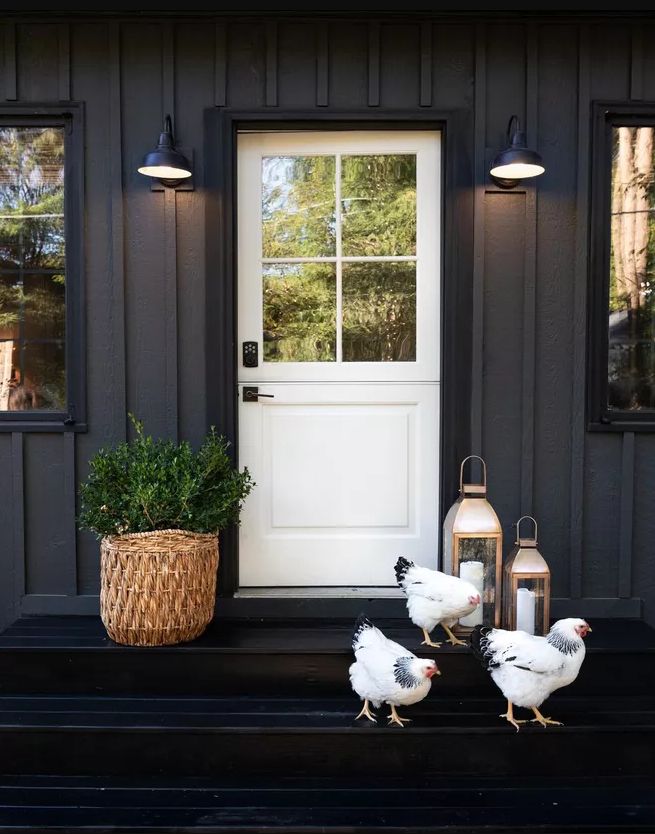 Dutch door basics