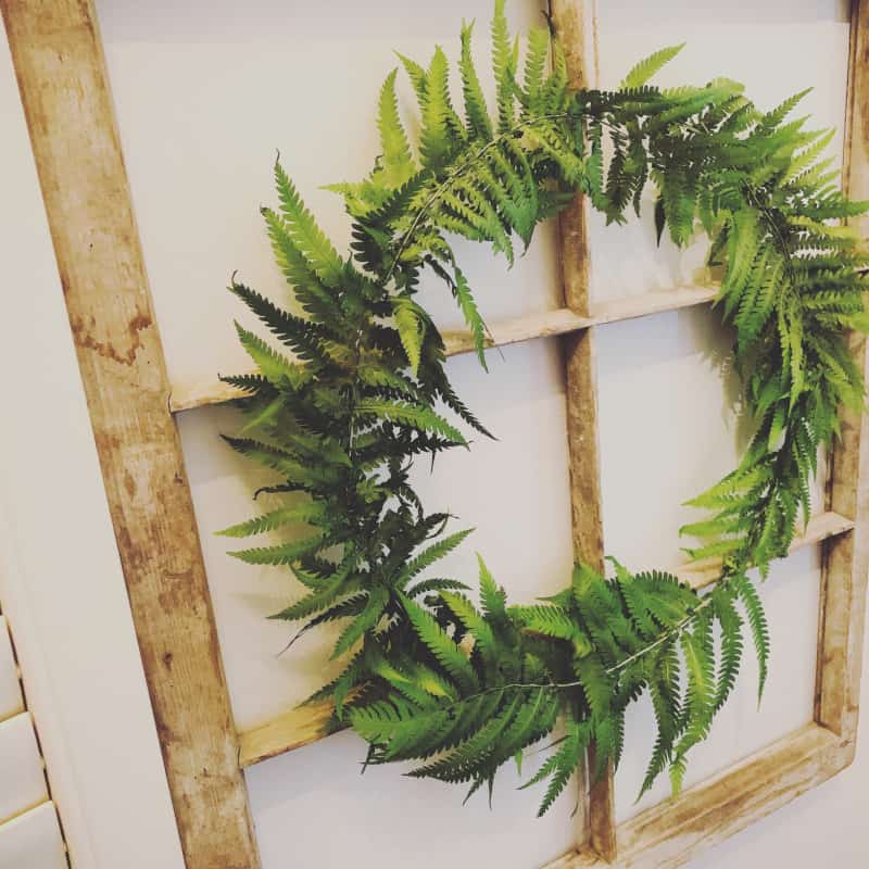 Easy DIY Fern Wreath
