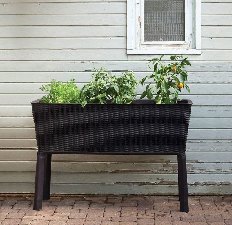 Easy Grow Patio Garden Flower Plant Planter