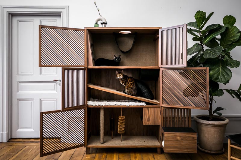 Eleonor Moschevitz created The Cat Flat