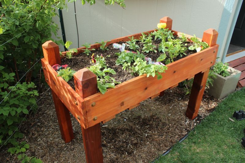 Elevated raised beds from wood DIY