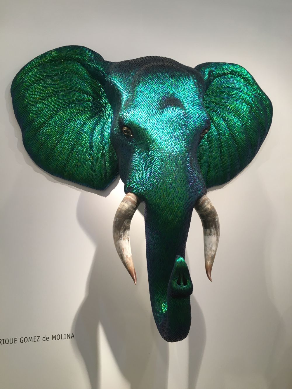 Enrique gomez de molina Elephant